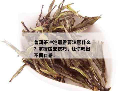 普洱茶冲泡最需要注意什么？掌握这些技巧，让你喝出不同口感！