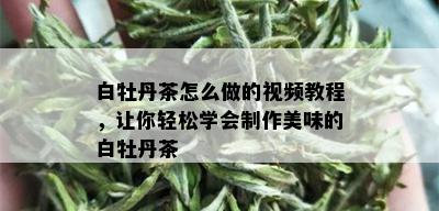 白牡丹茶怎么做的视频教程，让你轻松学会制作美味的白牡丹茶