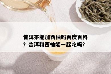 普洱茶能加西柚吗百度百科？普洱和西柚能一起吃吗？