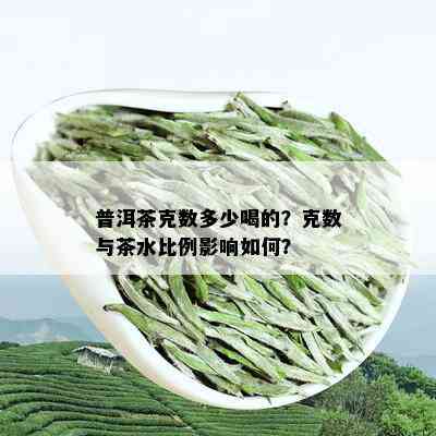 普洱茶克数多少喝的？克数与茶水比例影响如何？