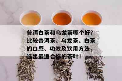 普洱白茶和乌龙茶哪个好？比较普洱茶、乌龙茶、白茶的口感、功效及饮用方法，选出最适合你的茶叶！