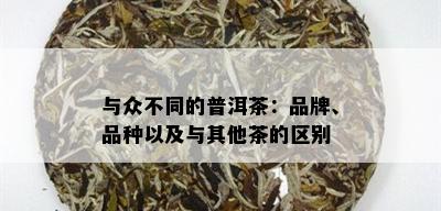 与众不同的普洱茶：品牌、品种以及与其他茶的区别