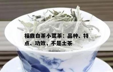 福鼎白茶小菜茶：品种、特点、功效，不是土茶