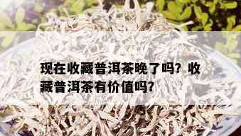 现在收藏普洱茶晚了吗？收藏普洱茶有价值吗？