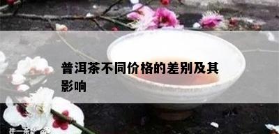 普洱茶不同价格的差别及其影响