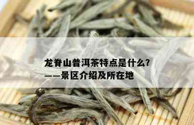 龙脊山普洱茶特点是什么？——景区介绍及所在地