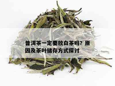 普洱茶一定要放白茶吗？原因及茶叶储存方式探讨