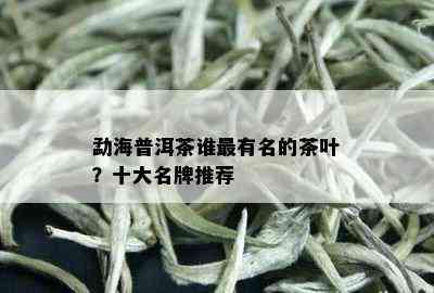 勐海普洱茶谁最有名的茶叶？十大名牌推荐