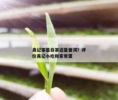 高记茶是白茶还是普洱？评价高记小吃和家常菜