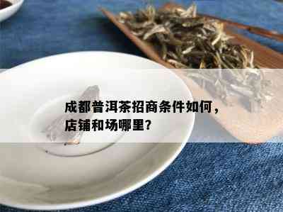 成都普洱茶招商条件如何，店铺和场哪里？