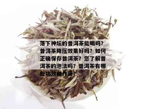 落下神坛的普洱茶能喝吗？普洱茶降压效果好吗？如何正确保存普洱茶？您了解普洱茶的泡法吗？普洱茶有哪些功效和作用？