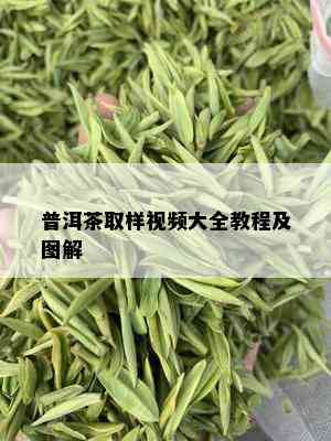 普洱茶取样视频大全教程及图解