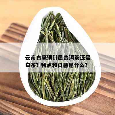 云南白毫银针属普洱茶还是白茶？特点和口感是什么？