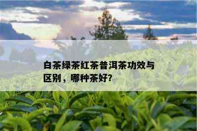 白茶绿茶红茶普洱茶功效与区别，哪种茶好？