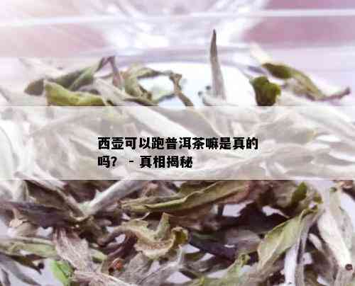 西壶可以跑普洱茶嘛是真的吗？ - 真相揭秘