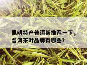 昆明特产普洱茶推荐一下，普洱茶叶品牌有哪些？