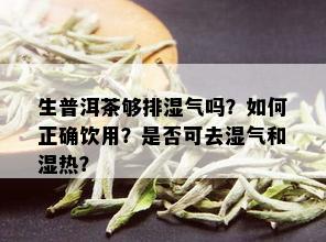 生普洱茶够排湿气吗？如何正确饮用？是否可去湿气和湿热？