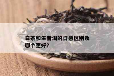 白茶和生普洱的口感区别及哪个更好？