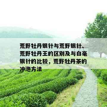 荒野牡丹银针与荒野银针、荒野牡丹王的区别及与白毫银针的比较，荒野牡丹茶的冲泡方法