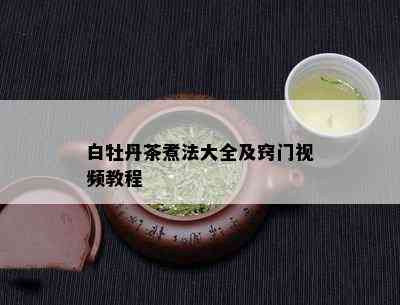 白牡丹茶煮法大全及窍门视频教程