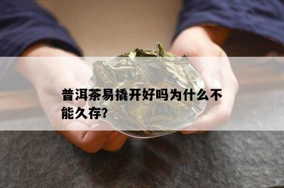 普洱茶易撬开好吗为什么不能久存？