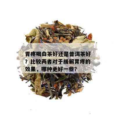 胃疼喝白茶好还是普洱茶好？比较两者对于缓解胃疼的效果，哪种更好一些？