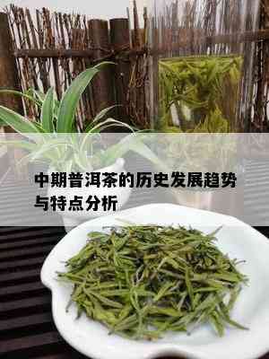 中期普洱茶的历史发展趋势与特点分析