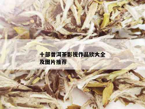 十部普洱茶影视作品欣大全及图片推荐