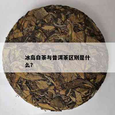 冰岛白茶与普洱茶区别是什么？