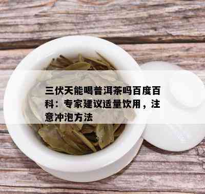 三伏天能喝普洱茶吗百度百科：专家建议适量饮用，注意冲泡方法