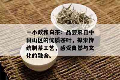 一小政和白茶：品尝来自中国山区的优质茶叶，探索传统制茶工艺，感受自然与文化的融合。