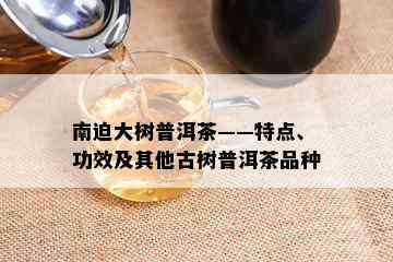 南迫大树普洱茶——特点、功效及其他古树普洱茶品种