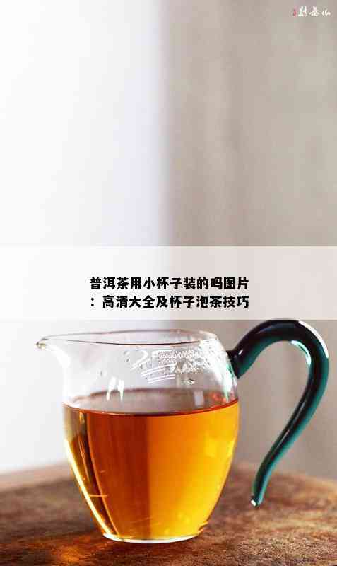 普洱茶用小杯子装的吗图片：高清大全及杯子泡茶技巧