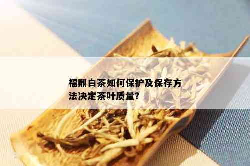 福鼎白茶如何保护及保存方法决定茶叶质量？