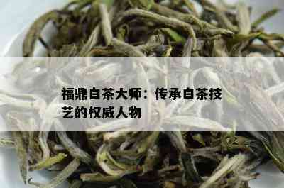 福鼎白茶大师：传承白茶技艺的权威人物