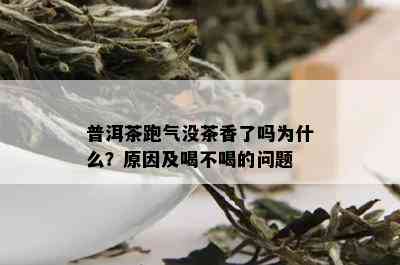 普洱茶跑气没茶香了吗为什么？原因及喝不喝的问题