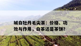 城白牡丹毛尖茶：价格、功效与作用，白茶还是茶饼？