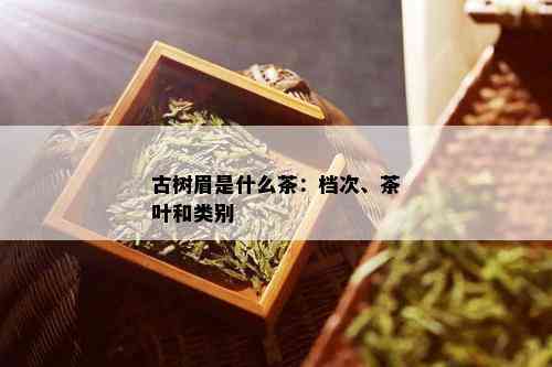 古树眉是什么茶：档次、茶叶和类别