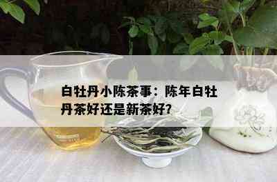 白牡丹小陈茶事：陈年白牡丹茶好还是新茶好？