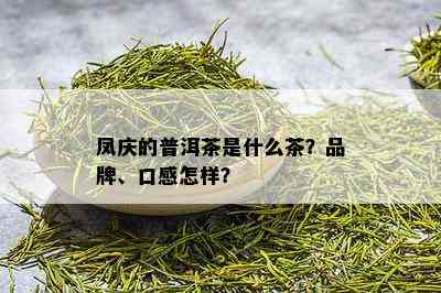 凤庆的普洱茶是什么茶？品牌、口感怎样？