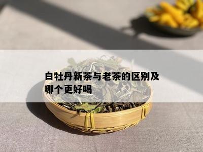 白牡丹新茶与老茶的区别及哪个更好喝