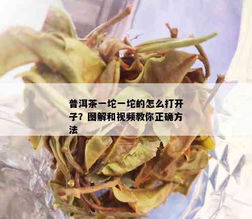 普洱茶一坨一坨的怎么打开子？图解和视频教你正确方法