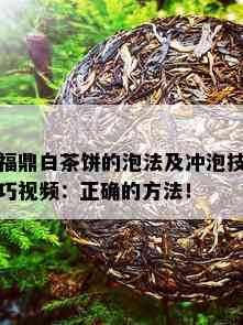 福鼎白茶饼的泡法及冲泡技巧视频：正确的方法！