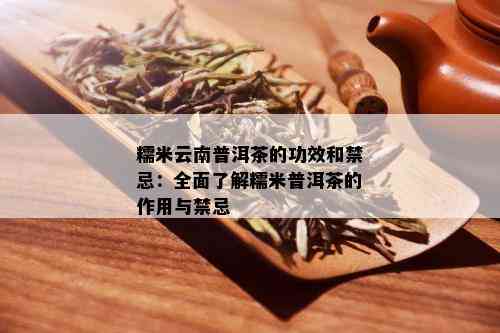 糯米云南普洱茶的功效和禁忌：全面了解糯米普洱茶的作用与禁忌