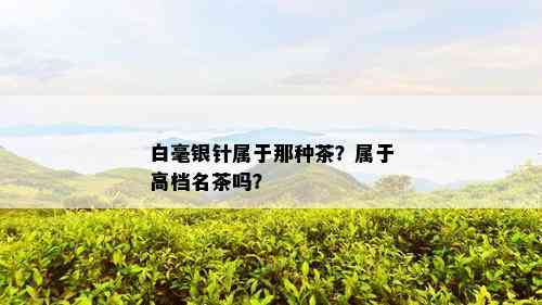 白毫银针属于那种茶？属于高档名茶吗？