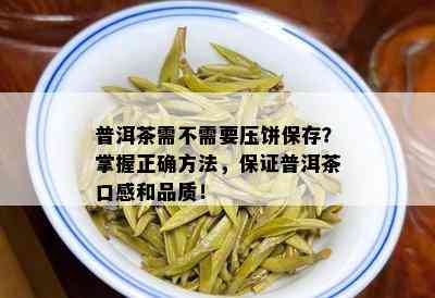 普洱茶需不需要压饼保存？掌握正确方法，保证普洱茶口感和品质！