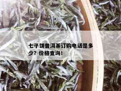 七子饼普洱茶订购电话是多少？价格查询！