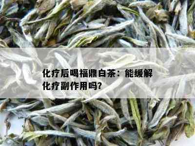 化疗后喝福鼎白茶：能缓解化疗副作用吗？