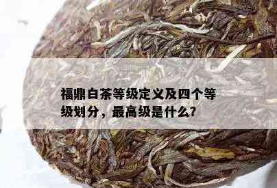 福鼎白茶等级定义及四个等级划分，更高级是什么？