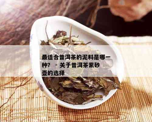 最适合普洱茶的泥料是哪一种？ - 关于普洱茶紫砂壶的选择